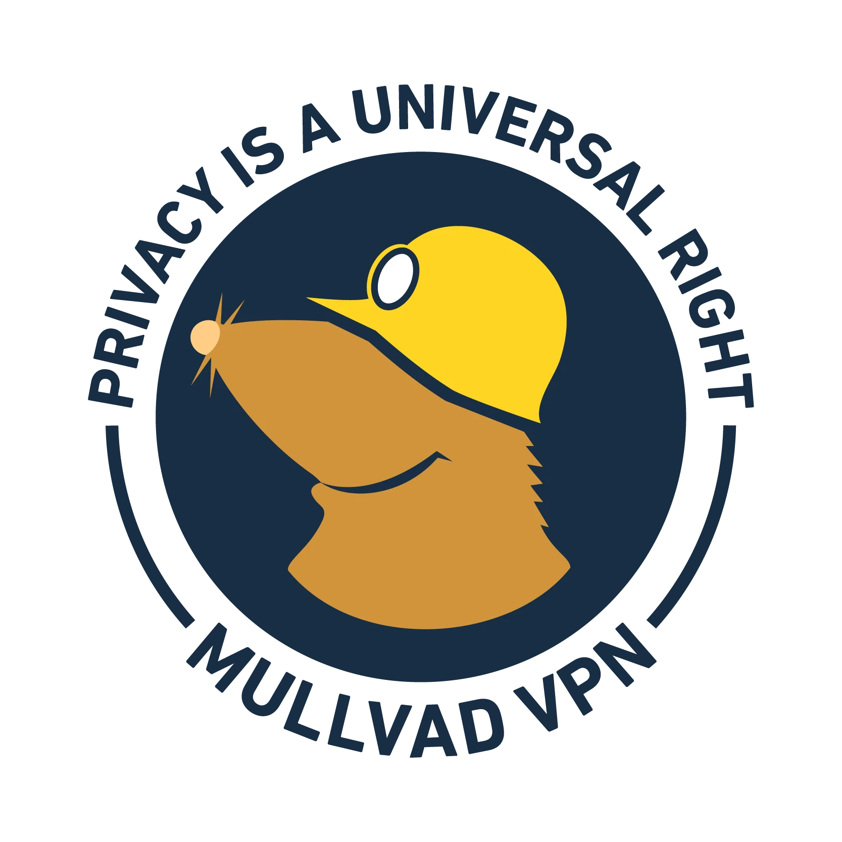 Mullvad 十年 | 还有十年在等著我们