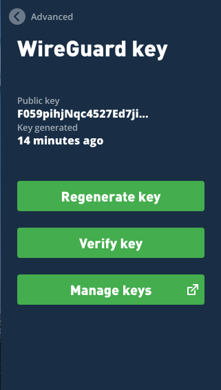 更快的 WG 密钥轮换与静态 IP 地址